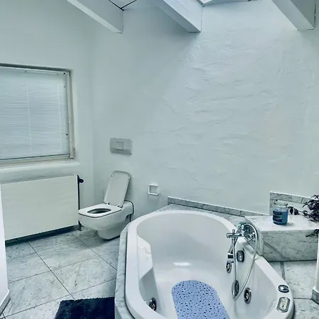 아파트 Penthouse Overlooking The Neckar 하이델베르크