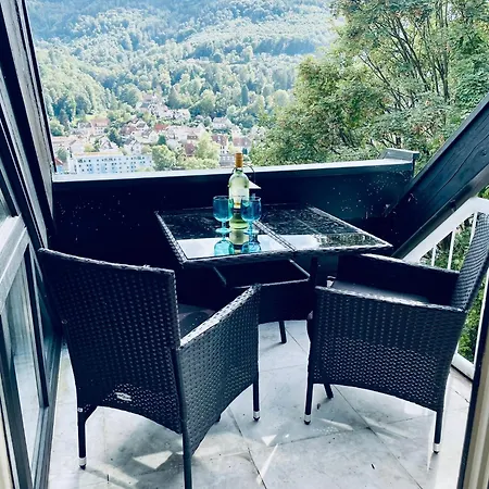 Lägenhet Penthouse Overlooking The Neckar *