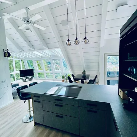 Penthouse Overlooking The Neckar *
