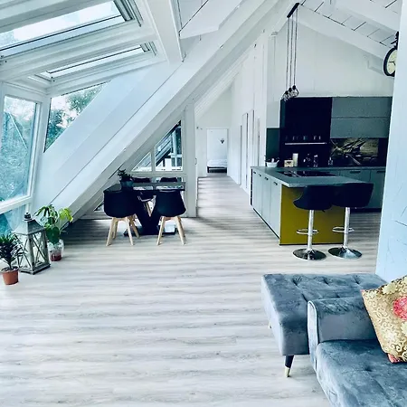 Penthouse Overlooking The Neckar Апартаменты Хайдельберг