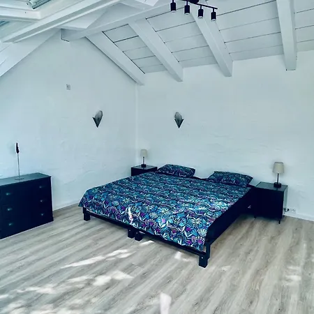 Penthouse Overlooking The Neckar * 하이델베르크